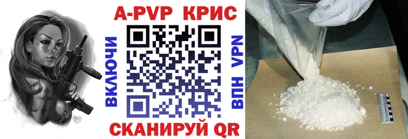 дарнет шоп omg ссылка A PVP СК КРИС Беломорск