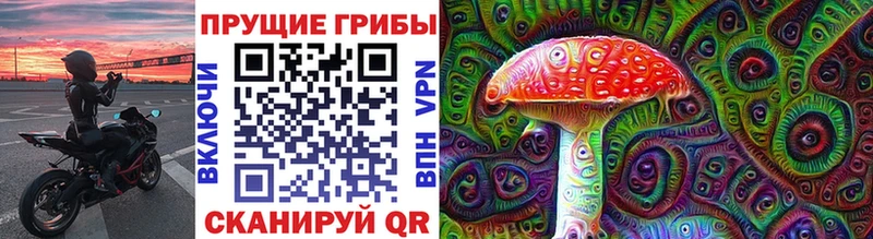 Галлюциногенные грибы прущие грибы  хочу   Беломорск 